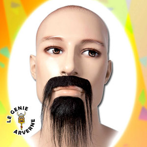 normal_moustache-barbe-barbichette-brune-noire-vieux-maitre-chinois-kung-fu-karate-arts-martiaux-sagesse-ju-jitsu-postiche-deguisement-visage-ancien-shaolin-faux-fausse-factice-deguiser-jouer-comedie-theatre-personnage-maquillage-costume-artistes.jpg